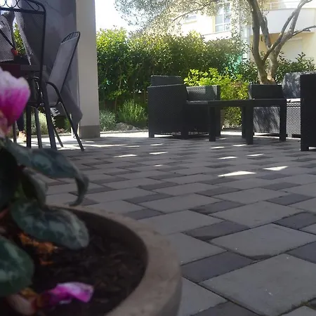 Purple Summer Apartment