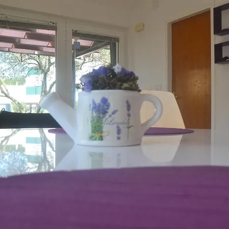 Purple Summer Apartment *